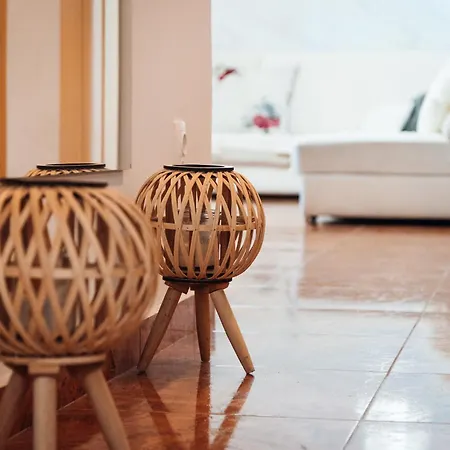 Willa Luxury Prada *